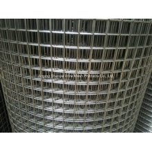 Metal Welded Wire Mesh in Roll for Fence